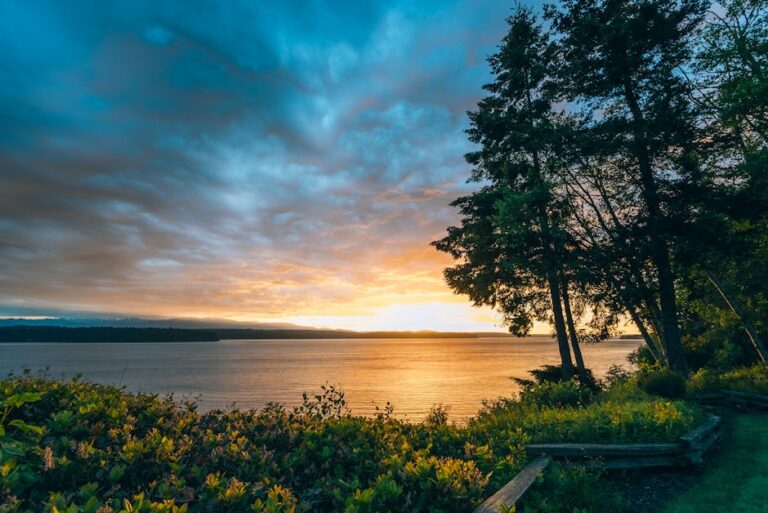 Enchanting sunset colors reflected on the tranquil lake near Seattle, surrounded by lush greenery.