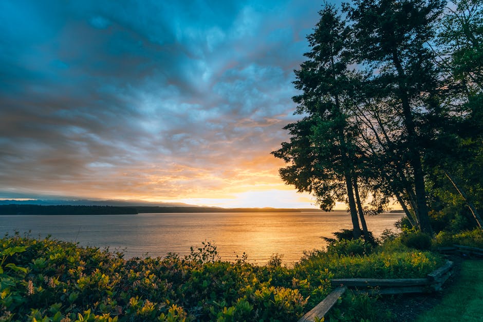 Enchanting sunset colors reflected on the tranquil lake near Seattle, surrounded by lush greenery.